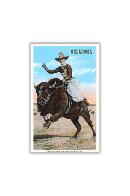 Cowboy Riding Buffalo Postcard