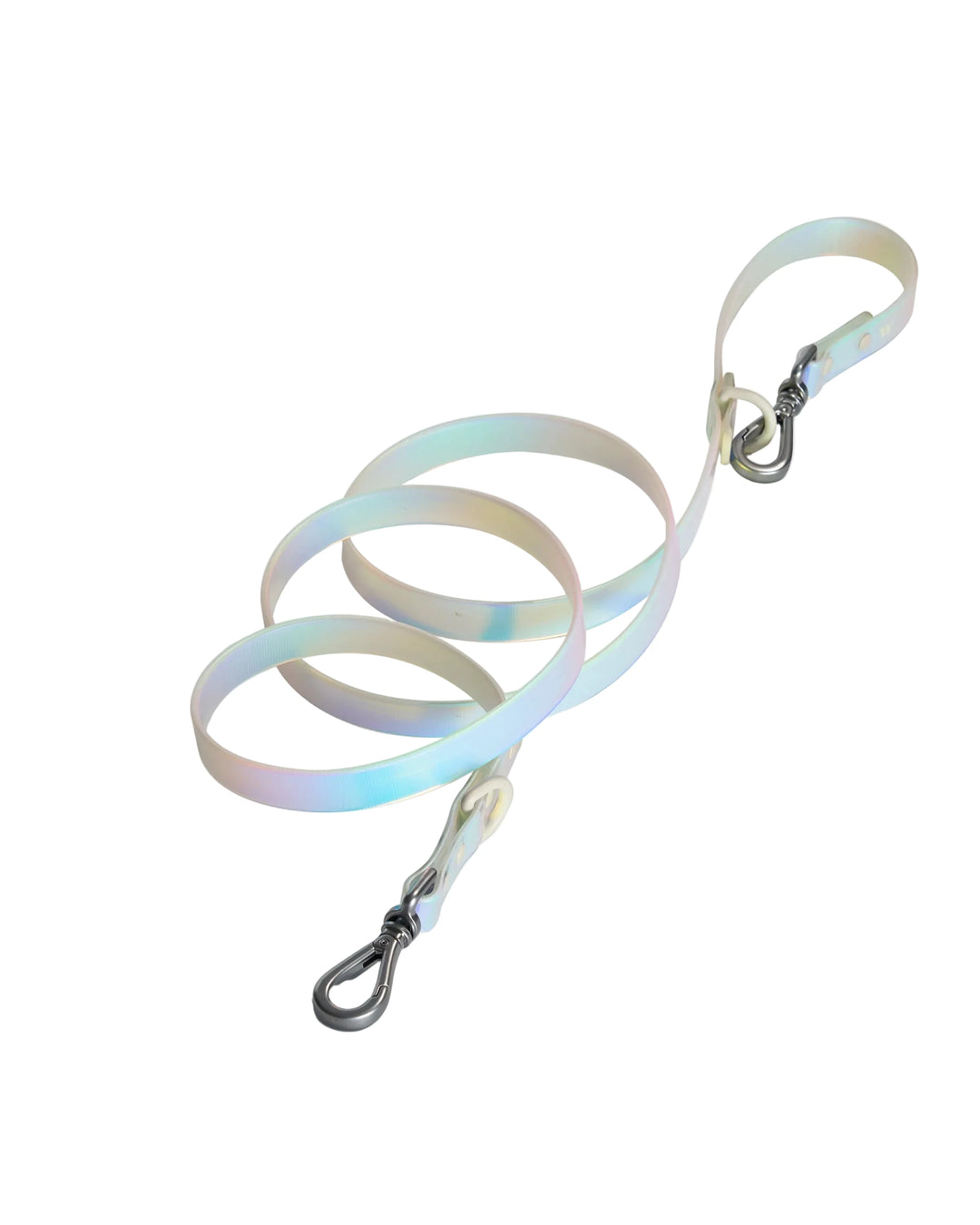 Holographic Dog Leash