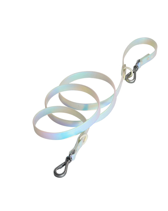 Holographic Dog Leash