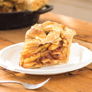 Unofficial Dollywood Cookbook