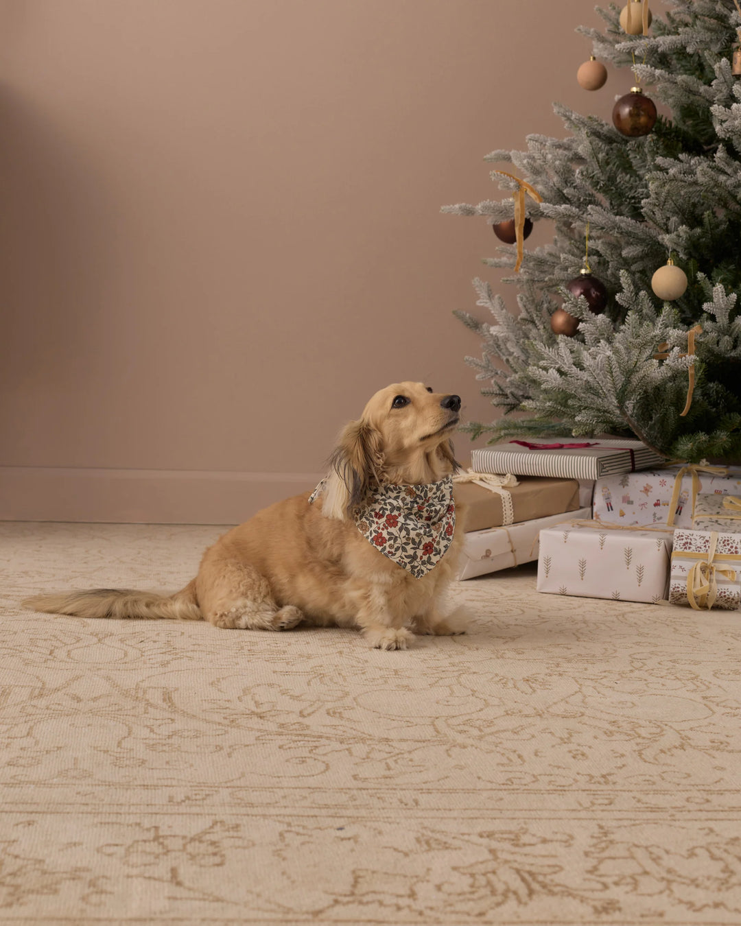 Rylee + Cru - Holiday Floral Dog Bandana