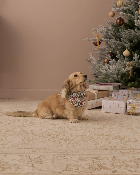 Rylee + Cru - Holiday Floral Dog Bandana