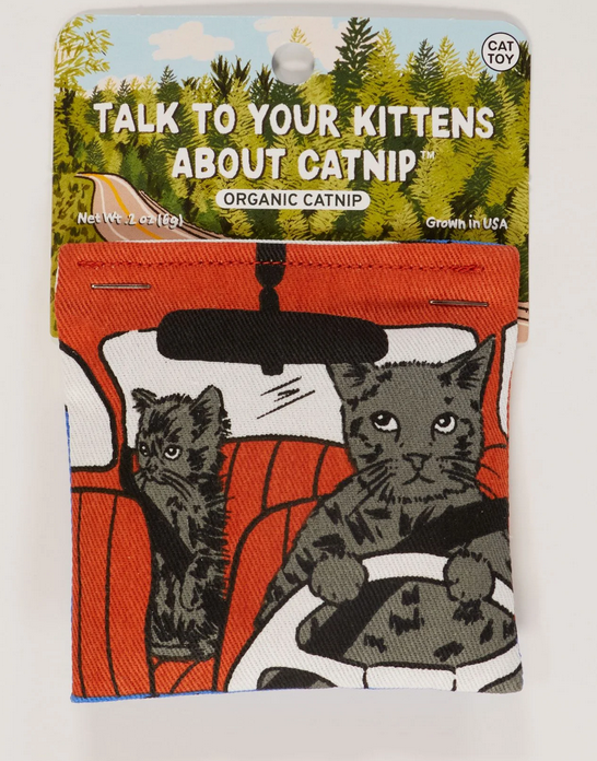 Talk To Your Kittens About Catnip Toy