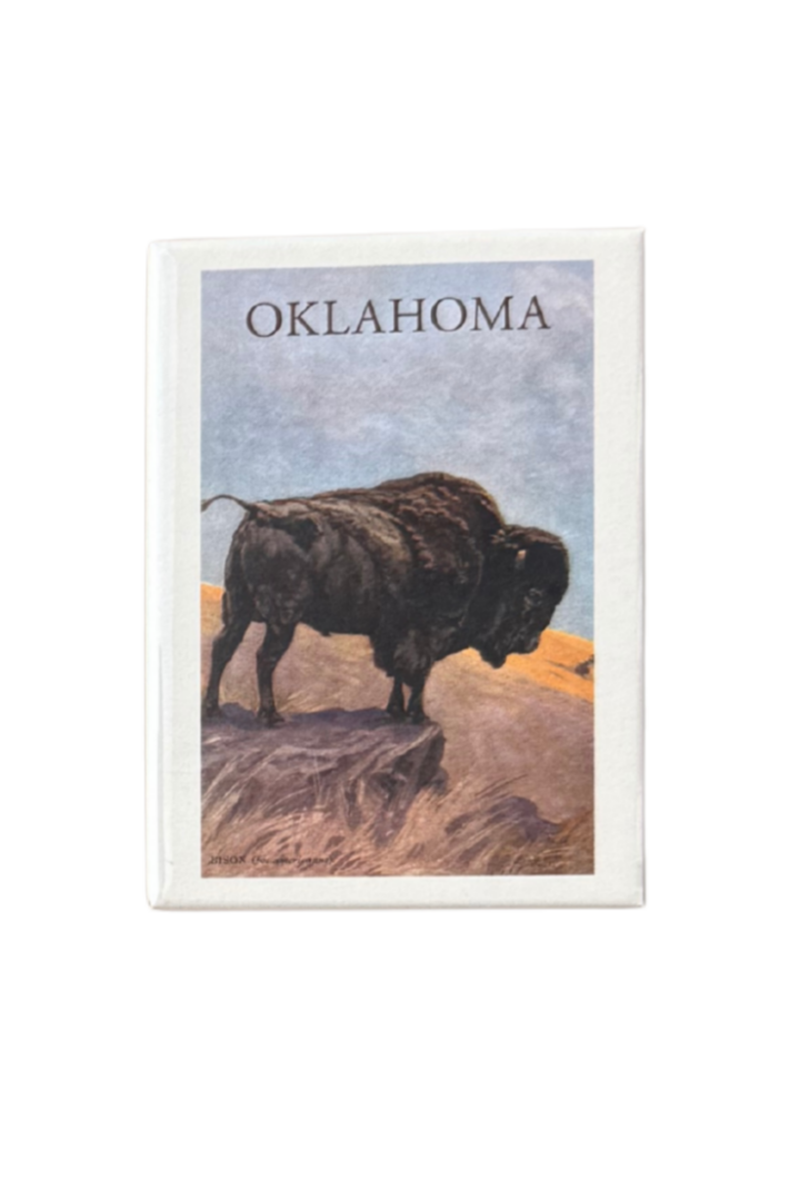 Oklahoma fridge magnet featuring a photo of a buffalo with state name across the top