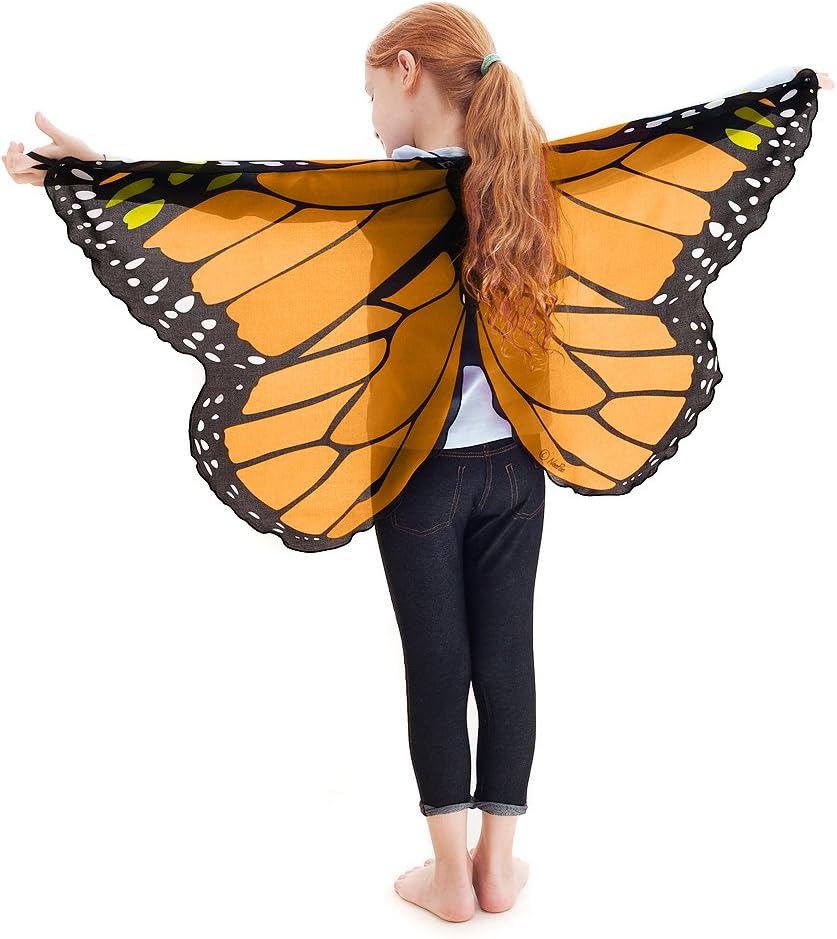 Orange Monarch Butterfly Wings
