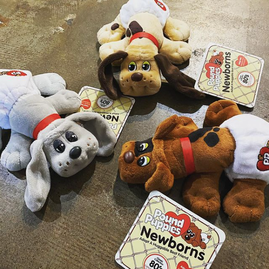 Pound Puppies
