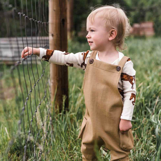 Organic Overall Denim