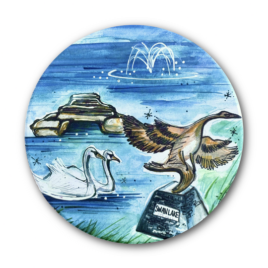 Swan Lake City Park Coaster