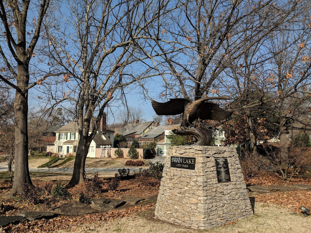 Swan Lake City Park Coaster