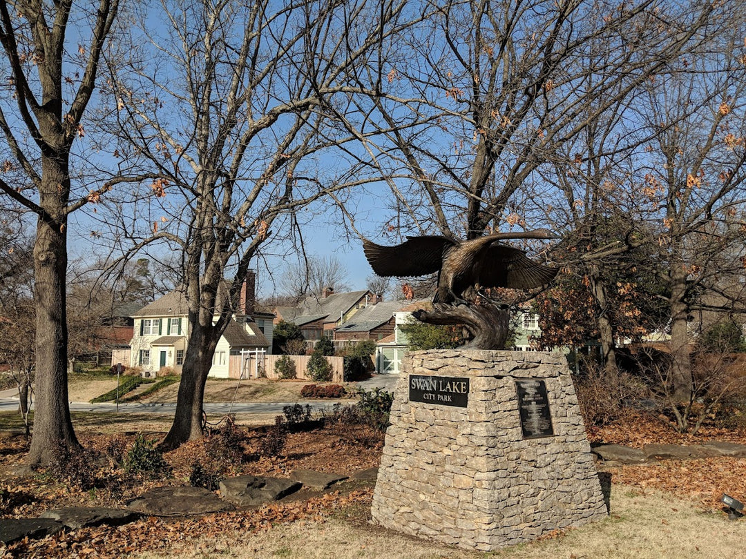 Swan Lake City Park Coaster