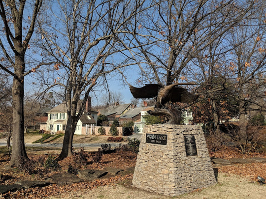 Swan Lake City Park Coaster