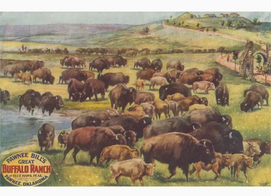 Buffalo Ranch Magnet